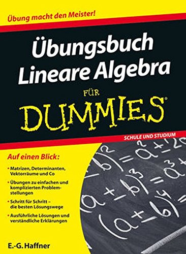 Übungsbuch Lineare Algebra für Dummies Buchen