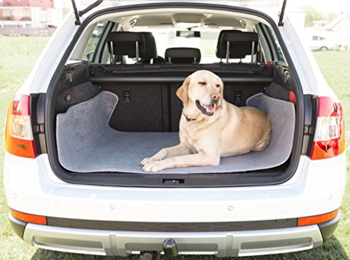 Preisvergleich Produktbild Autoschondecke Microfaser 5 in 1 INT4BELUA