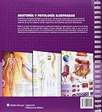 Image de Anatomía y patología ilustradas