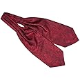 The Tie Hub Royal Paisley Burgundy Cravat For Men