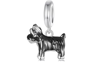 SHIYU Zawieszka dla matki i córki biżuteria damska, srebro próby 925, z cyrkonią 5A, pasuje do bransoletek Pandora, Srebro szterlingowe, lakier do paznokci