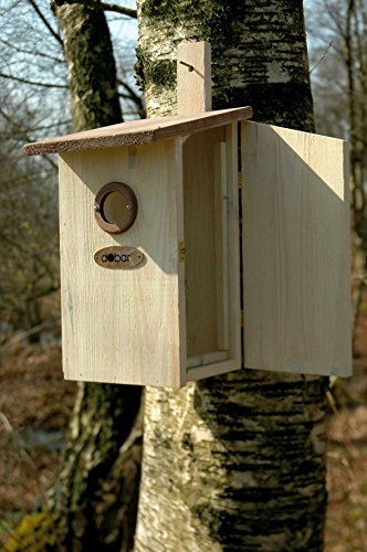 dobar 22415e Nistkasten für Vögel, aus Holz (Kiefer, Massivholz), für Garten, Balkon, Wand, 3 variable Einfluglöcher, mit Beobachtungsmöglichkeit, Farbe: Braun – Nisthilfe Vogelhaus - 2
