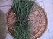 BSD Organics Grass Leaves for puja etc.- 100 gms RS.89.00
