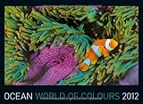 Image de Ocean - World of Colours 2012