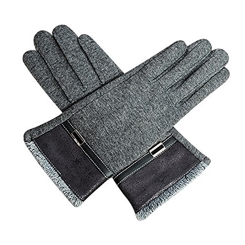 Preisvergleich Produktbild BROADCARE Damenhandschuhe Winter Warm Touchscreen - Grau