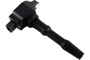 Globalautoparts Bobine d'allumage pour Clio IV, pour Captur, pour Dacia, pour Fortwo, pour Gran tour, pour Grand Scénic, pour Megane, pour Scénic, 224332428R, 2819060000, A2819060000