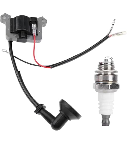 Accensione Elettronica Alpina vari modelli originale