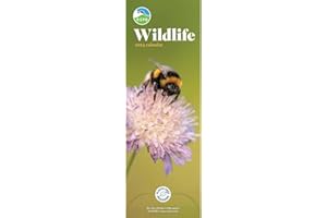 Carousel Calendars RSPB Wildlife Slim Calendar 2024