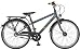 Produktbild Prophete Jungen Kinderrad Dirt, 24 ", Cool TO School, Einsteiger 8.1, SHIMANO 3-Gang Nabenschaltung , PROMAX Alu-V-Bremsen, hinten Rücktrittbremse, Dirt-Rahmen, 34 cm RH, grau glanz