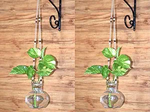MITHILA- Hanging Glass Vase with Rope(Transparent -12 X 10 cm) Handmade, for- Decorate Artificial Flowers, Pillar Restaurants, Cafes, Hotels, Used for Indoor and Outdoor Purpose.- Set of 2