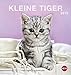 Katzen Postkartenkalender - Kalender 2018 by 