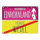 Das Metallschild wird mit abgerundeten Kanten und 4 vorgebohrten Löchern geliefert.