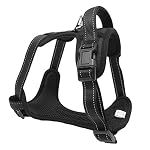 Pettorina-per-cani-di-piccola-e-media-taglia-Imbracatura-cane-riflettente-e-regolabile-in-4-taglie-S-M-L-XL-di-Happilax