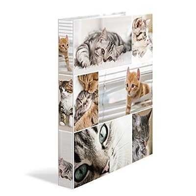 Herma 19358 Classeur DIN A4 Carton, série animaux motif chiens, 4 anneaux, largeur dos 35 mm, 1 Classeur Étroit 4 Ringe chat
