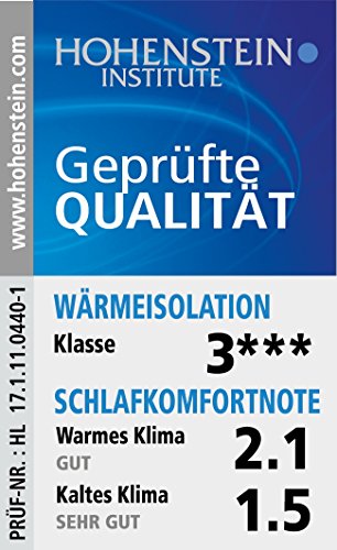 Schiesser ganzjahres Steppbett / Bettdecke / 155 x 220 cm / Allergiker geeignet / verschiedene Größen - 4