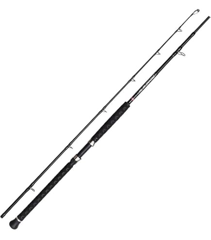 SHIMANO Beastmaster AX Pilk Rod 2.4m 40-95g 2pc Sports & Outdoors
