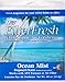 Produktbild Scented Furnace Air Freshener Pad-OCEAN FLTR AIR FRESHENER