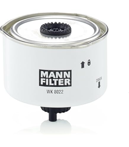 Filtro De Aire MANN-FILTER C 31 145 A Un Precio Económico