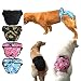 Dog Sanitary Pantie,Unisex Female Male Pet Dog Dogs Hygienic Sanitary Diaper Pant Brief Physiological Panty for Medium Large Dog Nappy Pants/Diaper Underwear