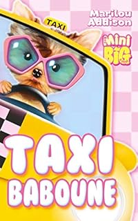 jaquette livre Taxi Baboune