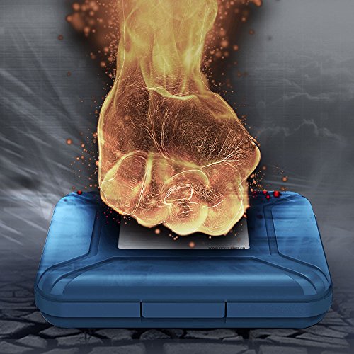 ORICO HDD Tasche 3.5 Zoll Wasserdichte Festplatten Schutzhülle Anti-Statik für HDD / SSD PHX35 in Blau - 2