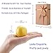 LAVEN Organic Bath Bomb Gift Kit, 3 Scents (Eucalyptus, Lavender and Orange) Pack of 6