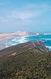 Image de Lonely Planet New Zealand's Best Trips: 26 Amazing Road Trips