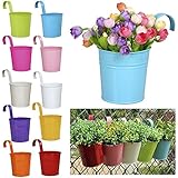 Pot de fleur balcon