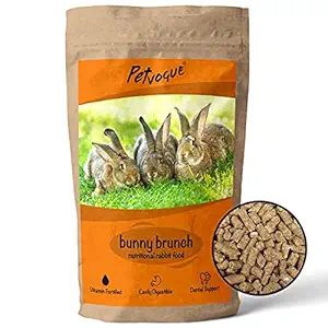 PetVogue Organic Rabbit and Other Small Animal Pellets | Premium Rabbit Food (ISO 9001 Certified) (Pack-900gm)