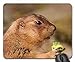 Produktbild Gaming-Mauspads, Mauspad, Präriehund Nagetier Animal Cute Brown Nature Wild