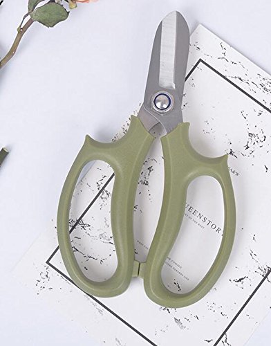 Preisvergleich Produktbild Arbre, Baustein-, Garten-Baumschere, Grün