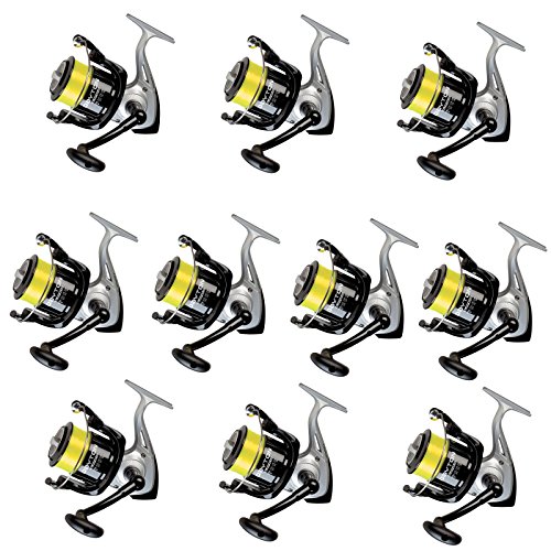 Preisvergleich Produktbild Combo 10 Rollen Dayton 6500