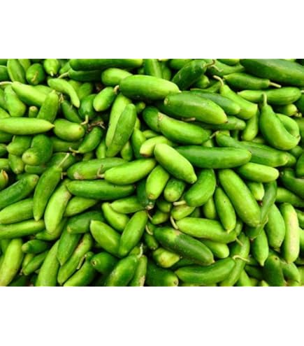 Otsiz seks partiyalari