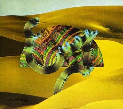 Because Music Django Django