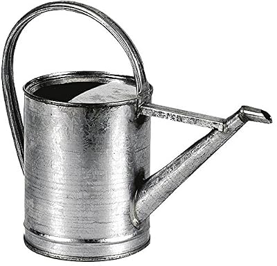 AUBRY GASPARD Arrosoir 3 litres en zinc 39x15x29cm