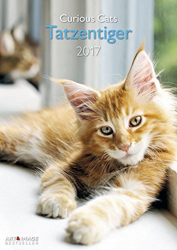 Tatzentiger 2017 - A&I Wandkalender A3, Tierkalender, Katzenkalender, Fotokalender - 29,7 x 42