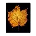 Produktbild Leaves Mouse Pad,Green Leaves with Weathered Appearance,Standard Size Rectangle Non-Slip Rubber Mousepad Wood M1