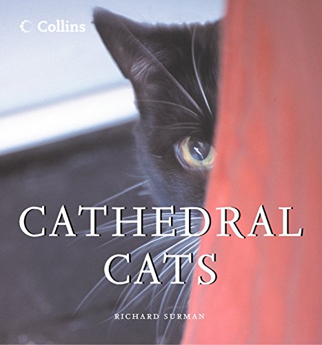 Cathedral Cats (English Edition) Cathedral Cats (English Edition)