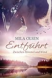 Image de Entführt - Zwischen Himmel und Wind (Louisa & Brendan 3)