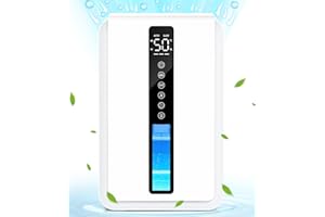 JERVAMNI Deshumidificateur d air - 2,5L Déshumidificateur Electrique Portable pour la Maison avec Mode Auto, 3 Niveaux de Déshumidification, Auto-Off & Auto-Dégivrage, 6-48h Minuterie, Lumières Colorées
