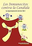 Image de Los Inmunocitos contra la Candida: La importancia del ejército TH17 (Inmunología Divertida para Salvar Vidas nº 2)