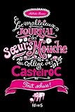 Le malicieux journal des soeurs Mouche au collège de Castelroc, Tome 3 : Tout schuss !