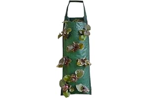 EHOTER Sac De Plantation pour Fraise Sac De Culture De Fraises Suspendu Jardin avec Poignée Et 8 Trous Tissu Non Tissé Respirant pour Culture D'herbes, Fraises, Poivrons, Fleurs (8 Trous,Vert)