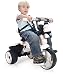 Tricycle City Max Injusa