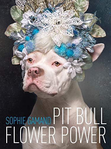 Preisvergleich Produktbild Pit Bull Flower Power