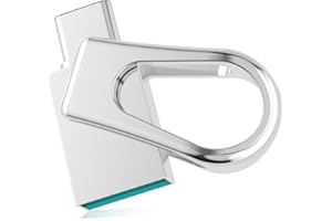 Tipo C Memoria USB 64GB, RAOYI Metal Mini Pendrive 3.0 OTG 2 en 1 Flash Drive USB Impermeable de Alta Velocidad, USB 64GB Tipo C para Móviles, MacBook, Tablet, Huawei, Xiaomi, Samsung, Plata