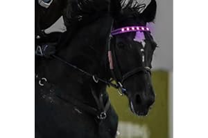 QQY Horse Headband LED Horse Breastplate Collar LED Strip Visibility Tack Horse Head Strap Bandage Strap for Night Horse Riding Equestrian Competition Event (Pink)