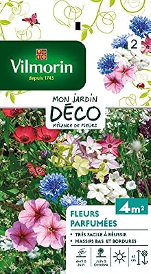 Vilmorin 5862942 Fleur parfumée Multicolore 90 x 2 x 160 cm