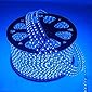 Gesto 5 Meter LED Rope Light Pipe Light (Blue) Decorative Light, LowPrice Festiveal, Ceiling Light, Home,Office, Diwali…