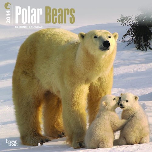 Polar Bears - 2014 Calendar by 2014 Calendars
